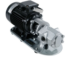Dişli Yağ Aktarma Pompası 1.5Hp 4 Bar 60 lt/dk 380 Volt - WCB 100T - 2