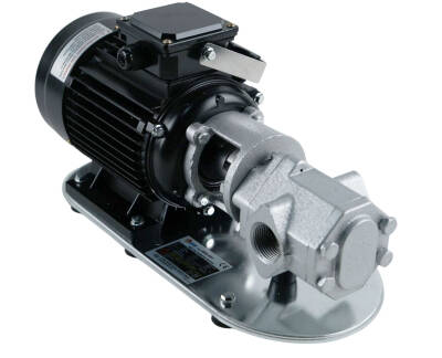 Dişli Yağ Aktarma Pompası 1.5Hp 4 Bar 60 lt/dk 380 Volt - WCB 100T - 2