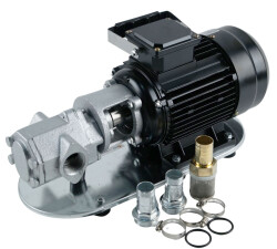 Dişli Yağ Aktarma Pompası 1.5Hp 4 Bar 60 lt/dk 380 Volt - WCB 100T - 3