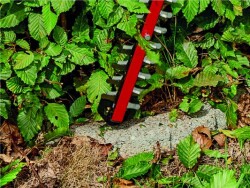 Einhell ARCURRA 18/55-Solo Akülü Çit Budama Makinesi - 4