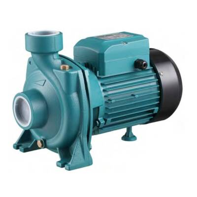Momentum PHM/5AM 2 Hp Su Pompası Santrifüj Pompa 22mss 600 l/dak. 2 Lik Su Motoru - 1