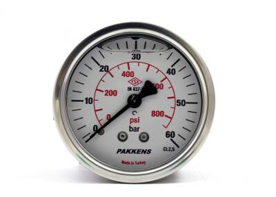 Pakkens 0-60 Bar 100 mm Arkadan Bağlantılı Panotipi Gliserinli Manometre G 1/2 inç - 1
