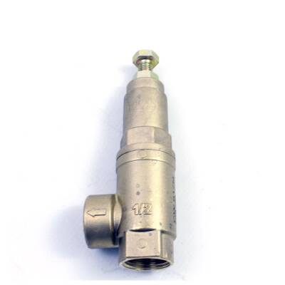 Pakkens 1/2'' Ayarlı Emniyet Ventili DN15 Dişi - 1