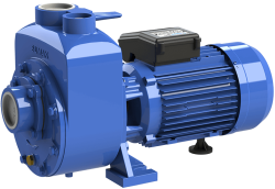 Sumak DSM 220/2 Kendinden Klapeli Pompa Monofaze (220V) 2.2HP - Sumak Pompa