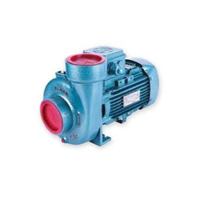 Varan CS-22 Kompakt Monoblok Santrifüj Pompa 2 Hp 220 Volt - 1