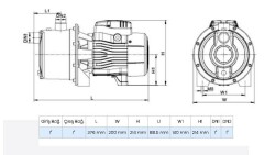Wilo Jet SPS Mini 3.46 Paslanmaz Gövdeli Kendinden Emişli Jet Pompa 1 Hp 40 mss 3.6 m³/h - 2