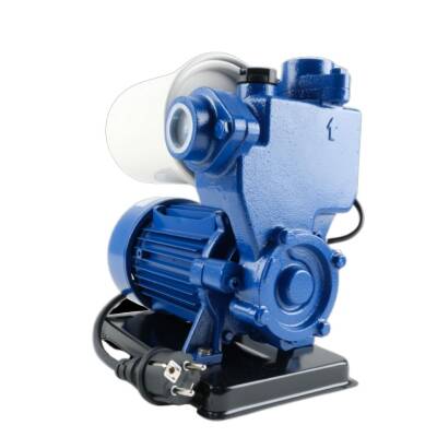 Winpo WNP 226 Güneş Enerjisi Sıcak Su Hidroforu 0.5 Hp - 2